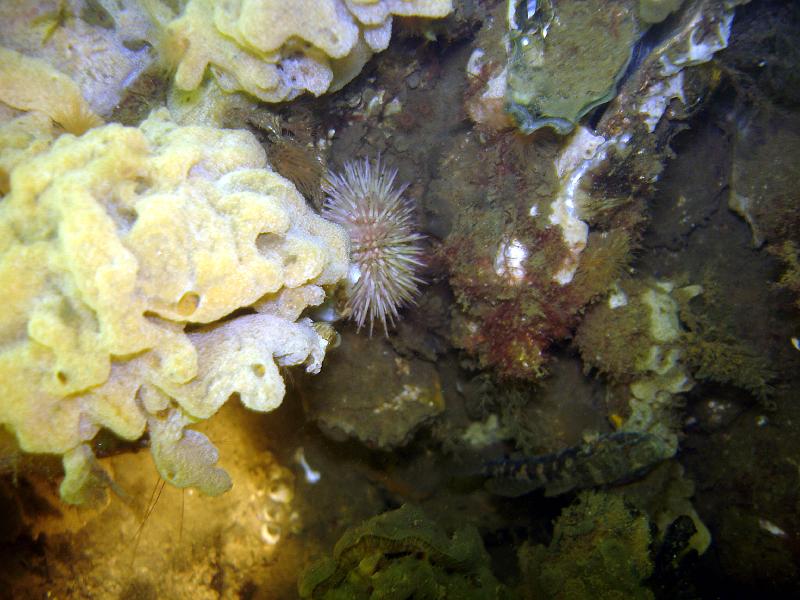 07 ZL 020.JPG